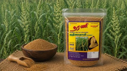 Picture of Barnyard Millet raw  (குதிரைவாலி பச்சை)