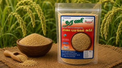 Picture of Little Millet boiled  (சாமை புழுங்கல்)